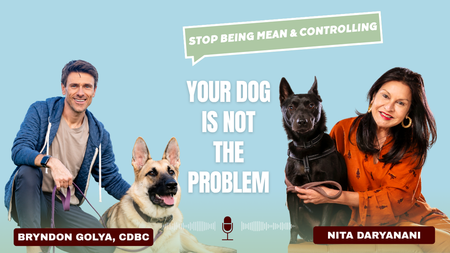Your Dog Is Trying to Tell You Something
