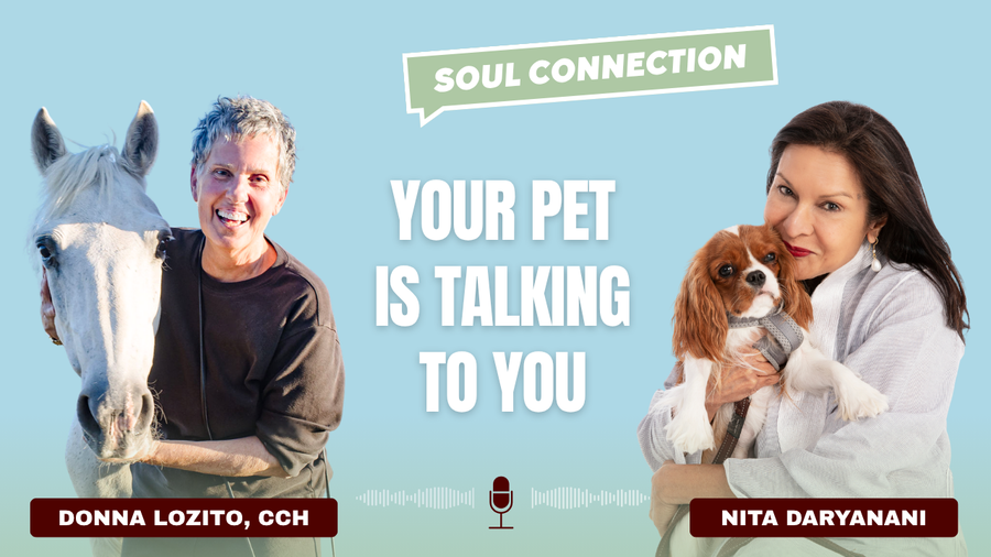 Can Your Pet Talk to You? Animal Communication, Soul Contracts & Healing