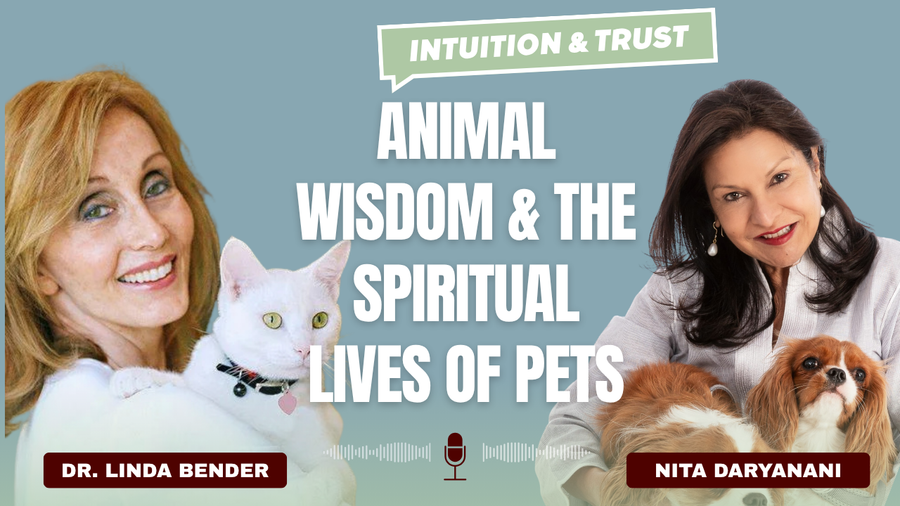 Animal Wisdom & The Spiritual Lives of Pets
