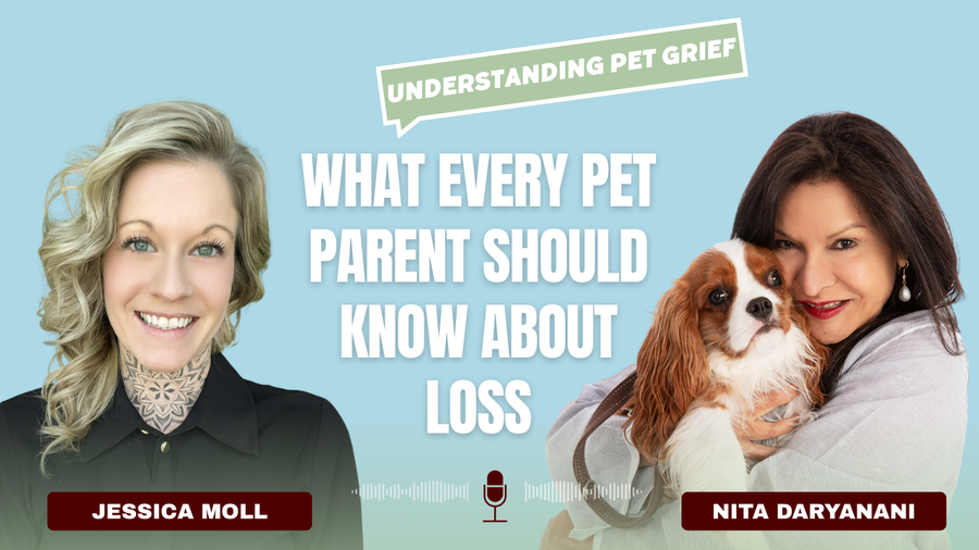 What No One Tells You About Pet Loss, Grief & Healing