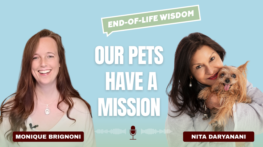 Pet Loss, Euthanasia & The Soul’s Journey
