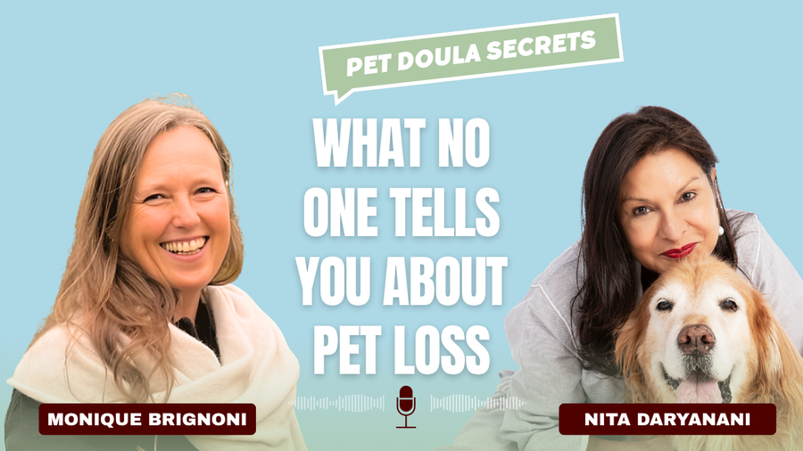 When It's Time to Say Goodbye: Pet Loss and Grief