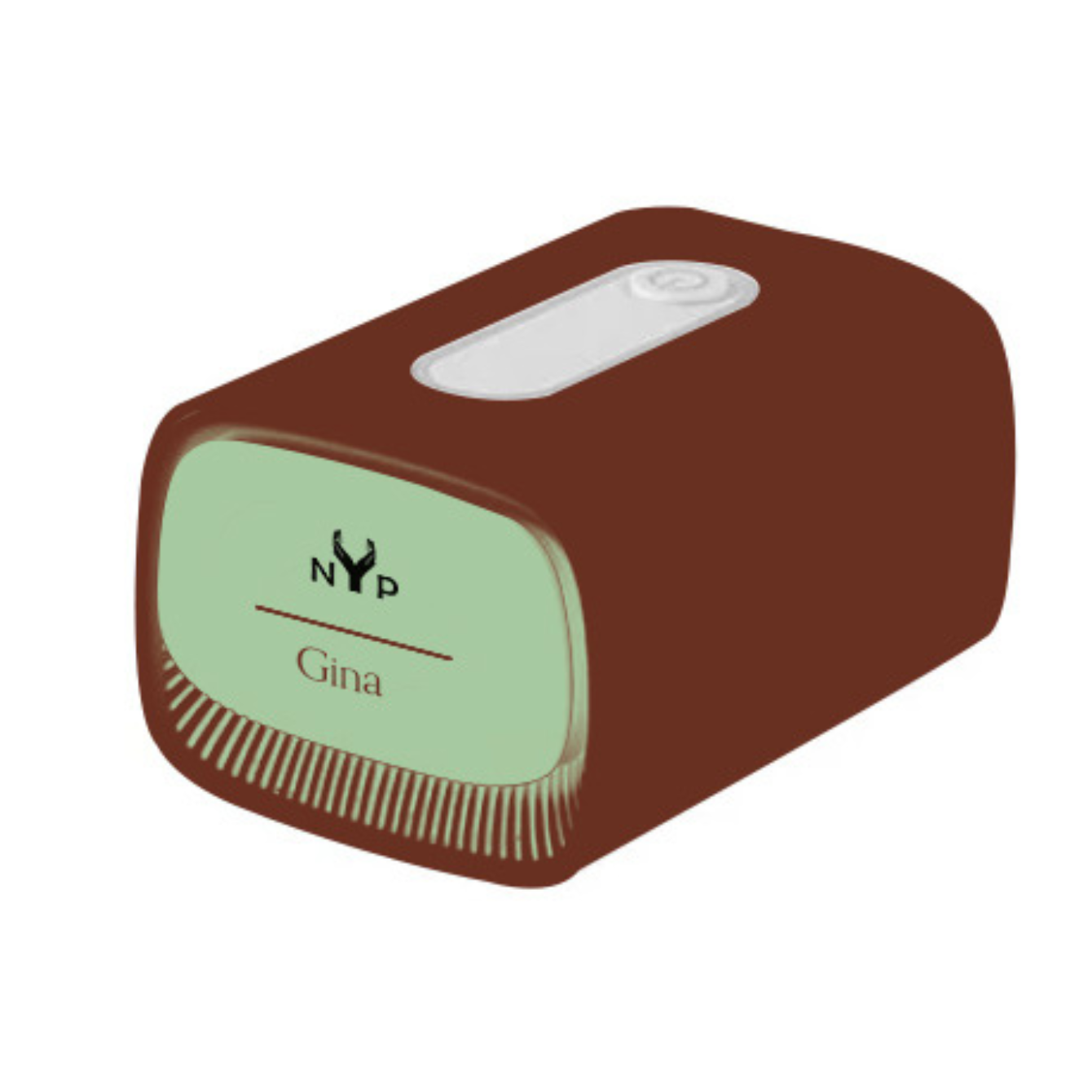 NYP Gina PEMF Main Unit