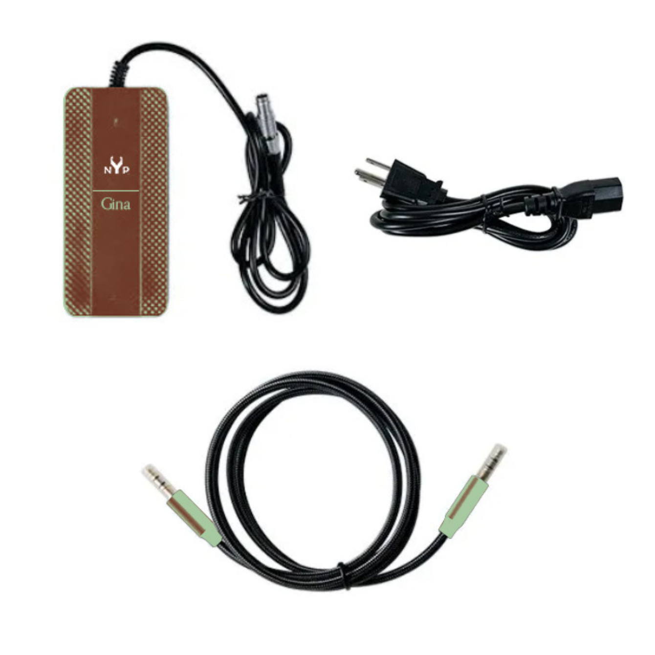 NYP Gina PEMF Content